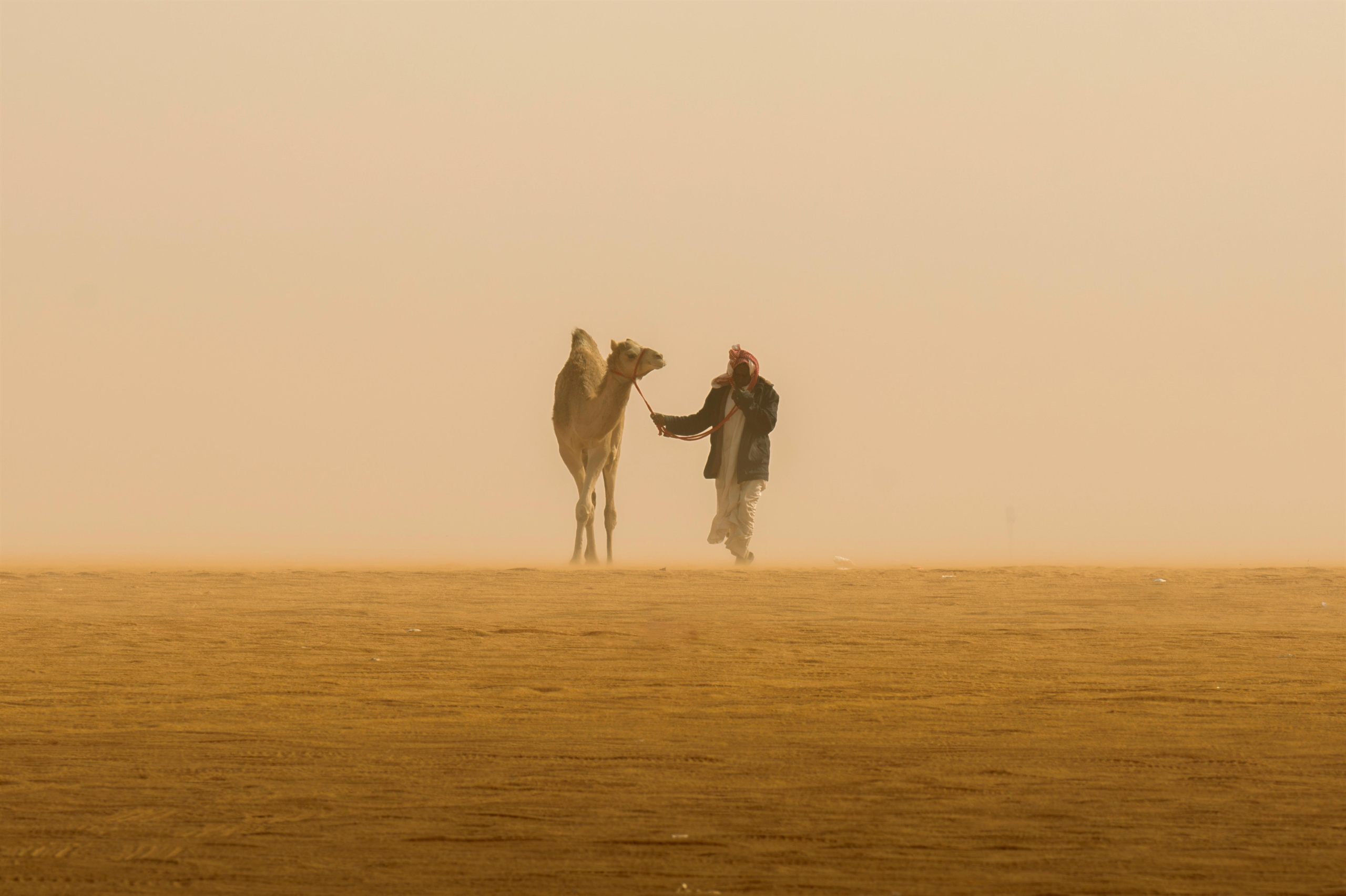 راع يقود ناقته بين الكثبان الرملية